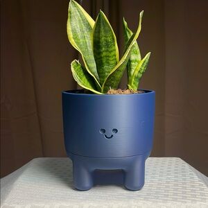 Blue Smiley Face Planter New 3-D Printed
